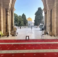 399061714 6545870615534822 6053285817629138264 n